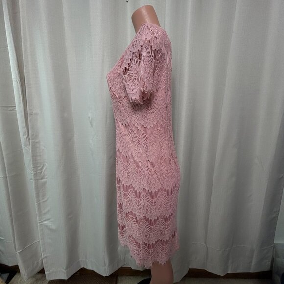Preston & York Felecia Short Sleeve Lace Sheath Dress Women's Size 12 Pink NWT - Picture 4 of 12
